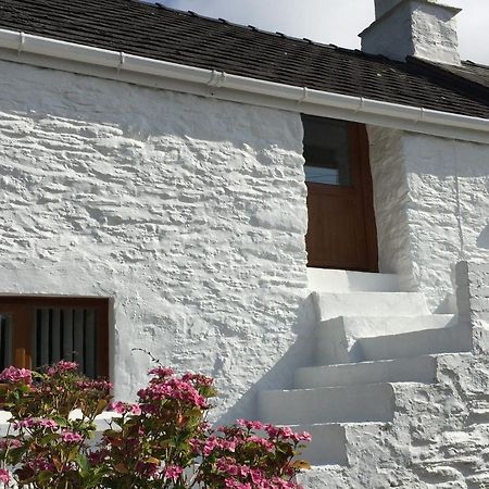 Little Barn Cottage นิวพอร์ต ภายนอก รูปภาพ