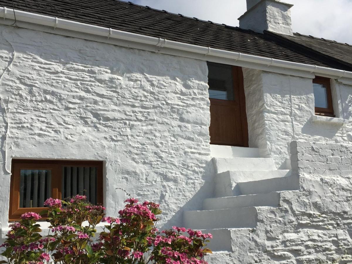 Little Barn Cottage นิวพอร์ต ภายนอก รูปภาพ